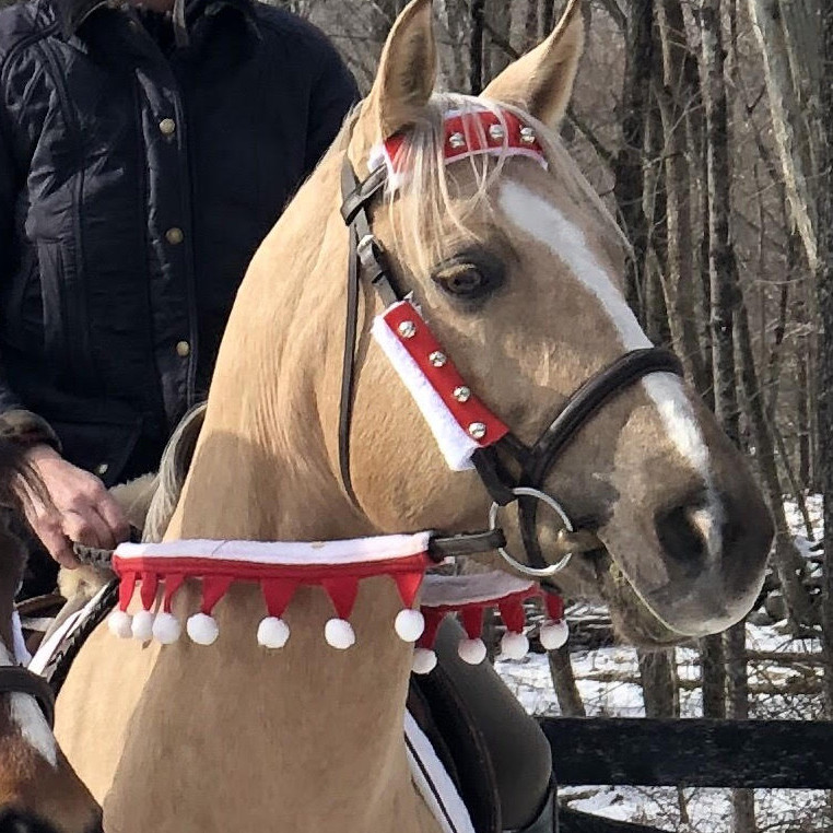 Santa Blanket for Under Saddle or Harness Holiday Horse Wear 