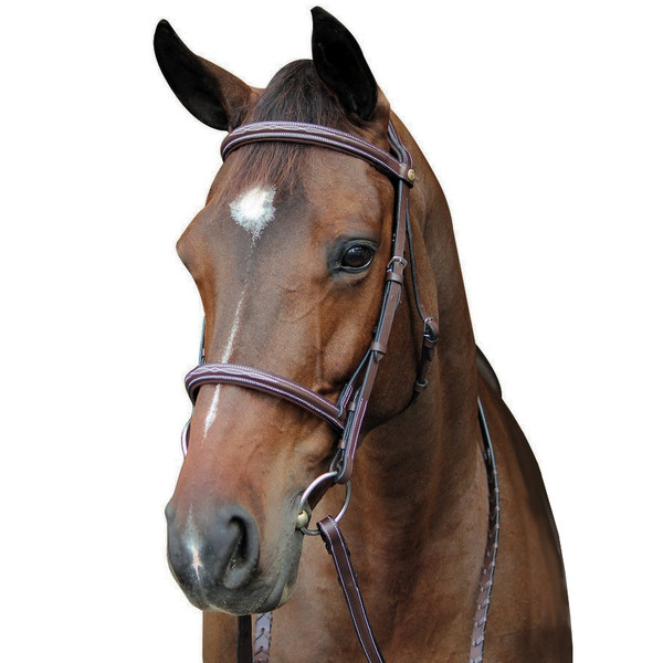 Ovation Classic Collection Fancy Raised Comfort Crown Padded Bridle with Fancy 