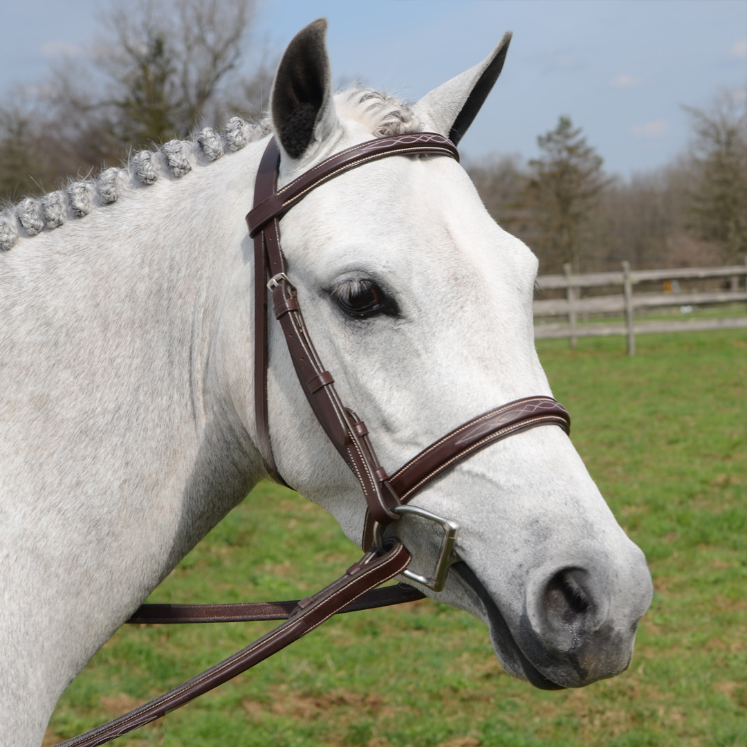 Huntley Equestrian Fancy Stitched Bridle, Fancy Reins, Australian Nut