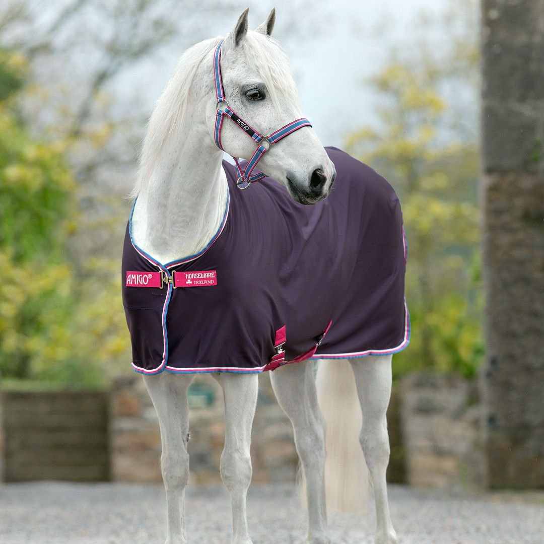 NEW GP SADDLE PAD FOR SHETLAND HORSE IN PURPLE WITH BLUE TRIM BANDAGES OPTIONAL 