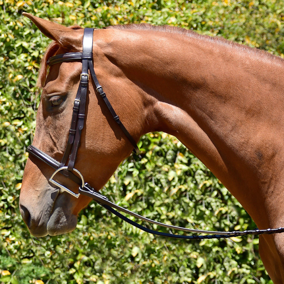 Full Horse Size Fancy Stitched Havana Brown English Bridle Show Caveson 