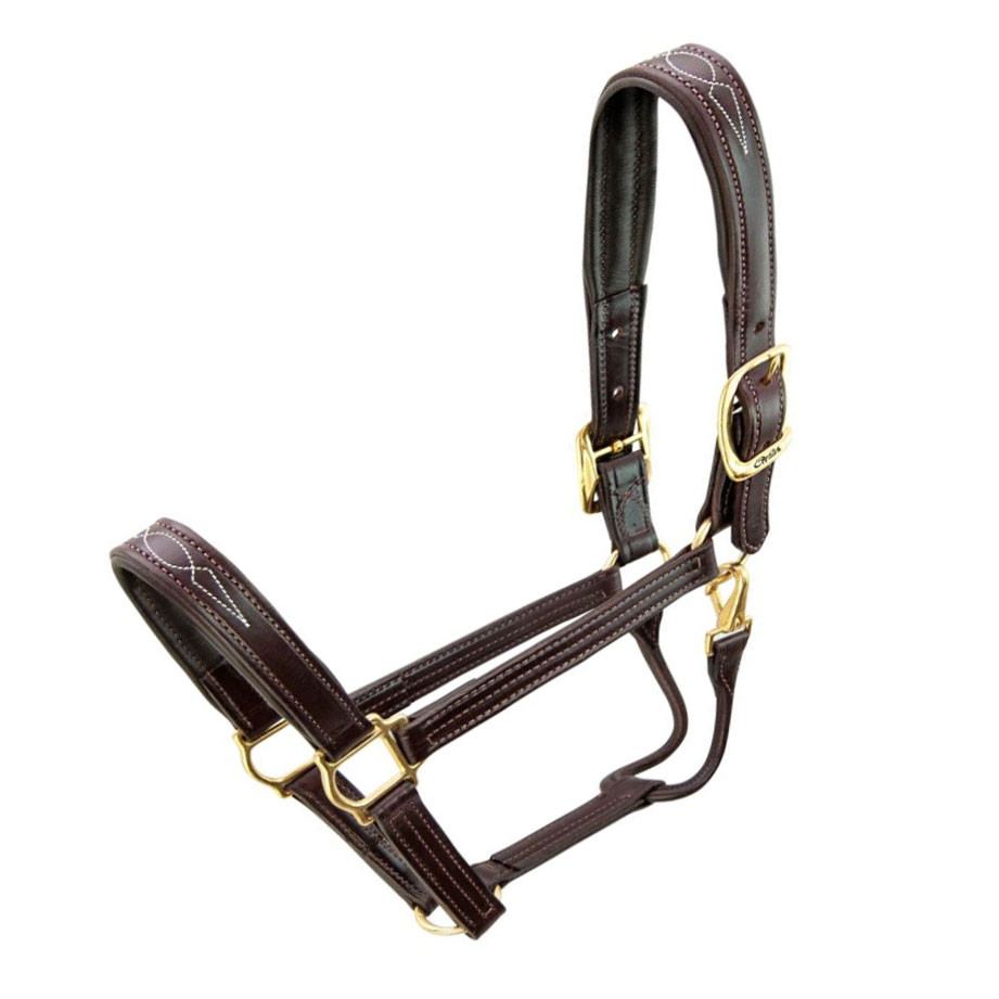 Fancy Stitch Soft Padded Leather Horse Halters 