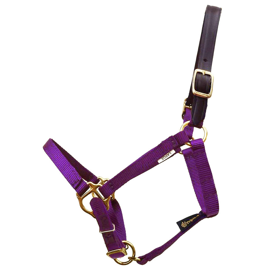 Triple E 5/8" Miniature Horse Breakaway Halter