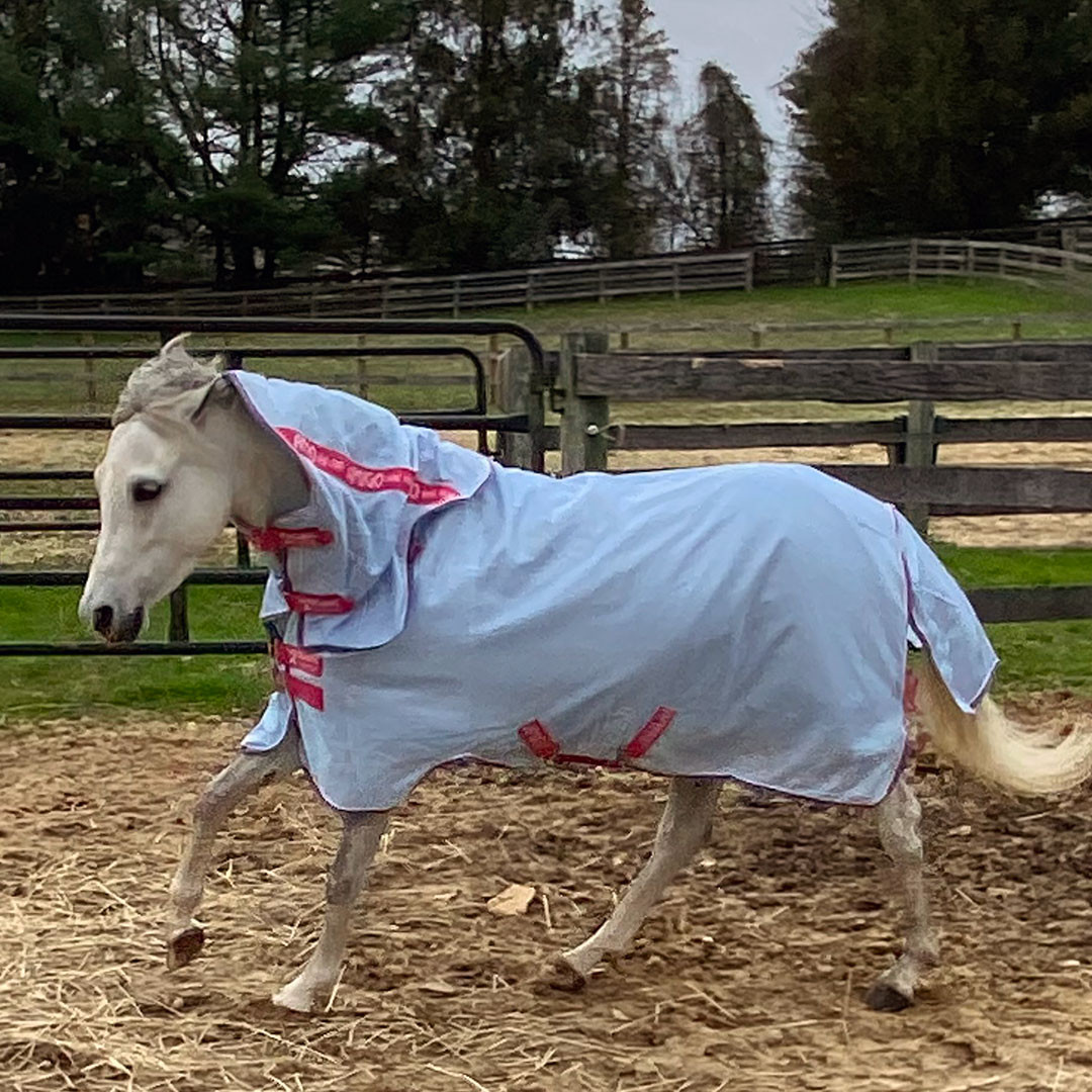 Horseware Amigo Pony Bug Rug Fly Sheet 4ft9 Azure/White/Pink Pet