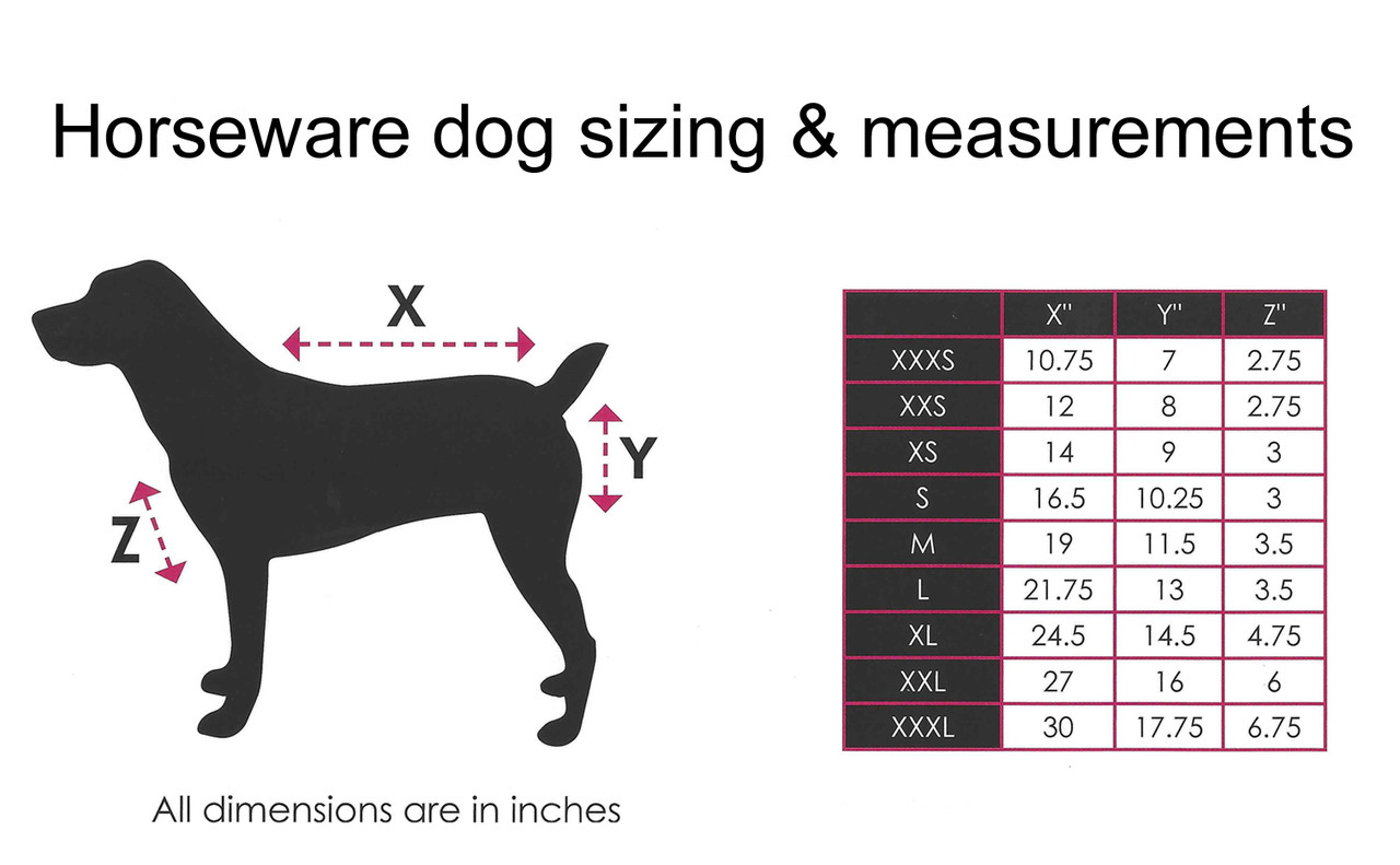 Dog blanket size clearance