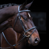Horseware AMIGO Leather Flash BRIDLE inc Reins Black/Brown Pony/Cob/Full/XFull 