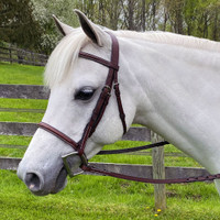 Americana Raised, Fancy Stitched Bridle With Plain Laced Reins