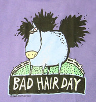Bad Hair Day - Adult