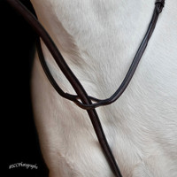 Beval Newport Pony Standing Martingale
