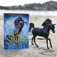 The Black Stallion, Breyer Book & Model Set