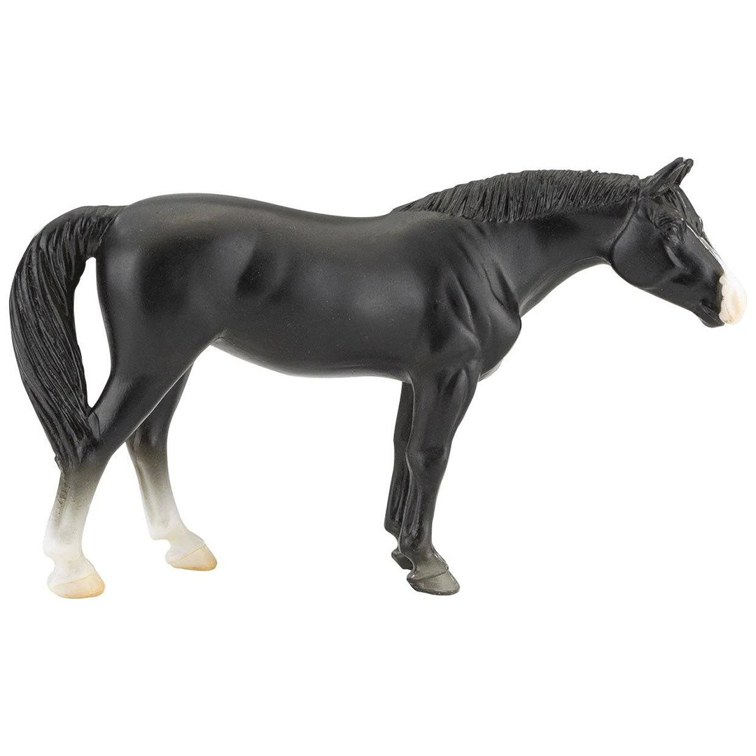 Black Quarter Horse
