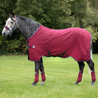 Rambo Helix Stable Sheet with Disc Front, Burgundy/Teal/Navy, 60" - 69"