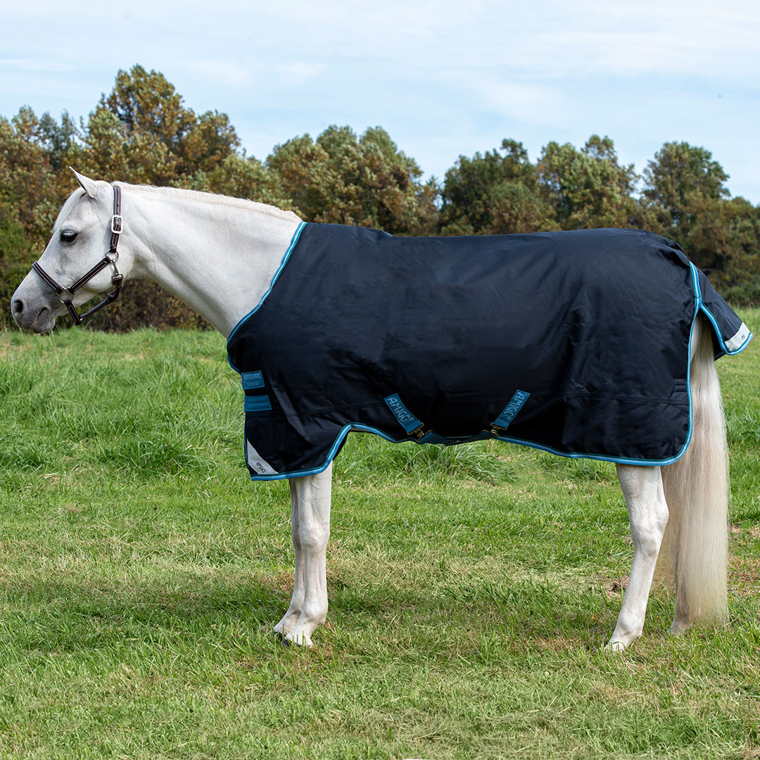 Couverture Imperméable Housse De Cou Amigo Horsewear Pour Cheval - Taille L, Couleur Rouge, à Porter Sous Le Tapis Housse De Cou Cheval Amigo