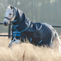Amigo Pony Bravo 12 Plus Medium Turnout Blanket, Navy/Turquoise/Aqua/Blue, 45"-69"