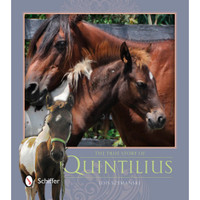 The True Story of Quintilius,  A Chincoteague Pony
