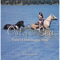 Out of the Sea, Today's Chincoteague Pony