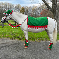 Holiday Horse Wear, Elf 5 Piece English SET