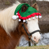Holiday Wear, MINIATURE HORSE Two-Ear ELF Hat