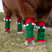 Holiday Wear, MINIATURE HORSE Elf Leg Wraps, Set of 4