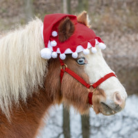 Holiday Wear, MINIATURE HORSE Two-Ear Santa Hat