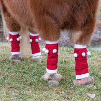 Holiday Wear, MINIATURE HORSE Santa Leg Wraps, Set of 4