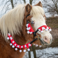 Holiday Wear, MINIATURE HORSE Santa Halter/Bridle Set