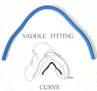 Saddle Fitting Curve