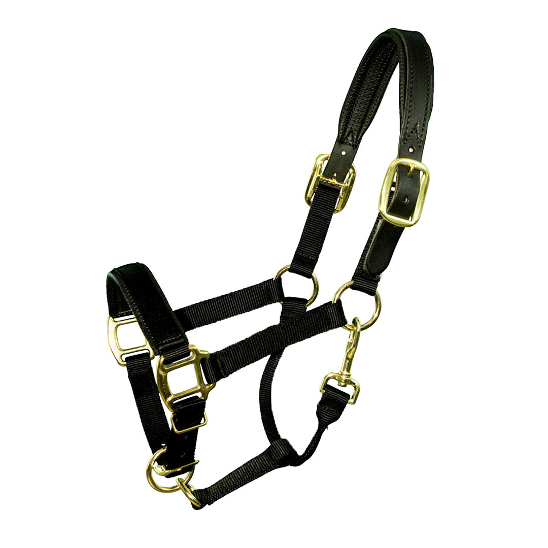 HKM Morello Fleece Padded Nylon Halter full or cob size