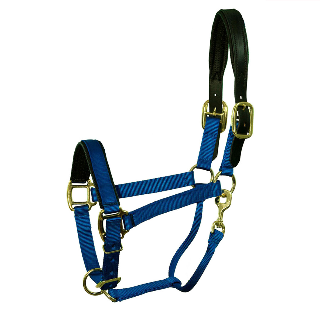 Heavy Nylon Breakaway Safety Horse sz Turn out Halter Green Blue Red Purple Teal 