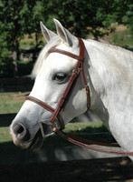 Abbey Raised, Fancy Stitched Bridle, Cob Only