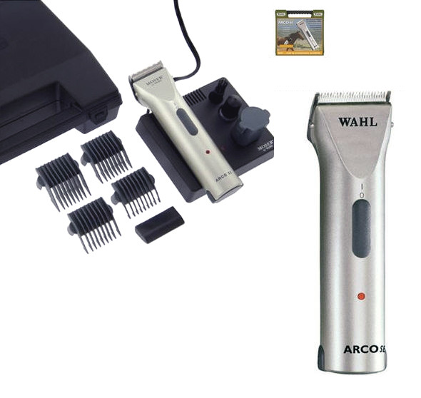 arco clippers
