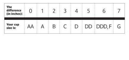 cup-size-chart435.jpg cup-size-chart435.jpg