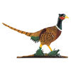 517-pheasant-t.jpg