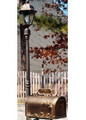 Hummingbird Mailbox Electric Light and Post
