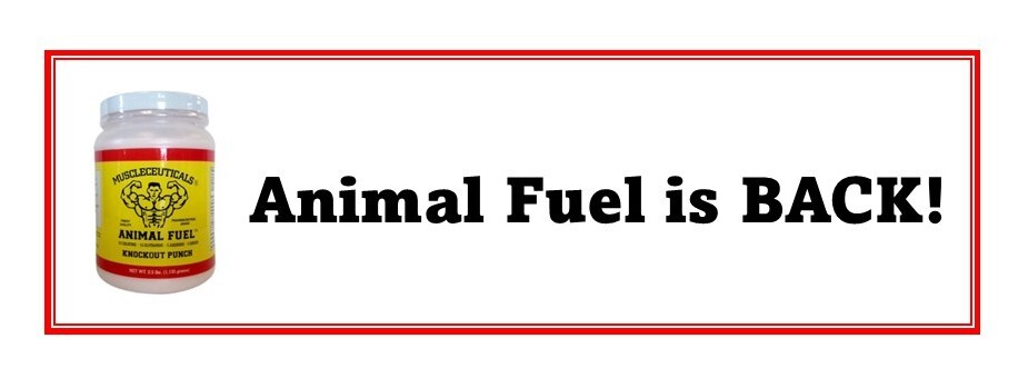 animal-fuel-is-back-in-stock-border-smaller.jpg