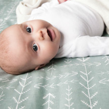 WOODLAND FOX Play Blanket