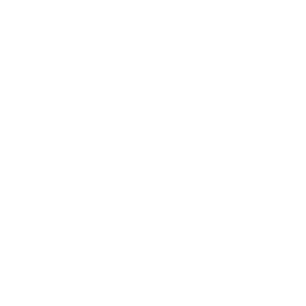 Animal Vet Icon