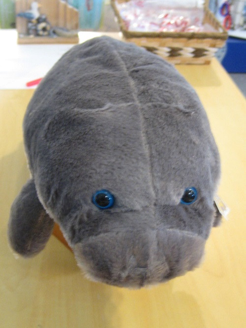 the petting zoo stuffed animals