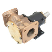 Heavy Duty Composite Pump - Flanged Port 1 & 1/2 Inch