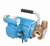 53040 Series 240 Volt AC Utility Pump