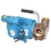 53080 Series 240 Volt AC Utility Pump
