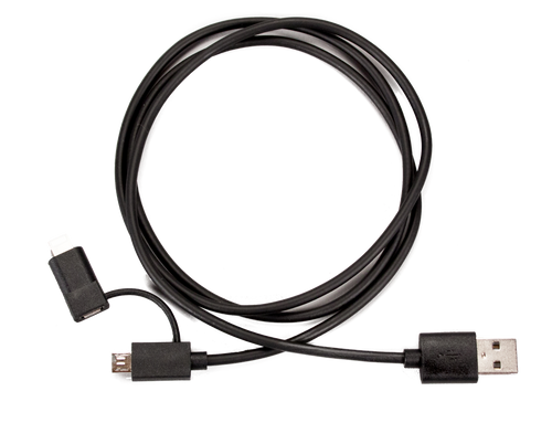 Dual Tip Sync & Charge Cable