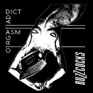 Buzzcocks Orgasm Addict 5x4