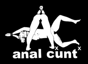 Anal Cunt - Girls Logo 4x4" Printed Sticker