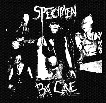 Specimen Bat Cave 4x4