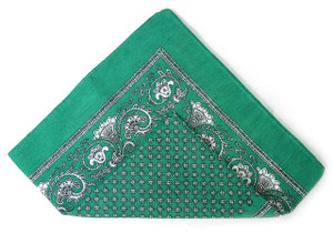 Classic Pattern Bandana - Green