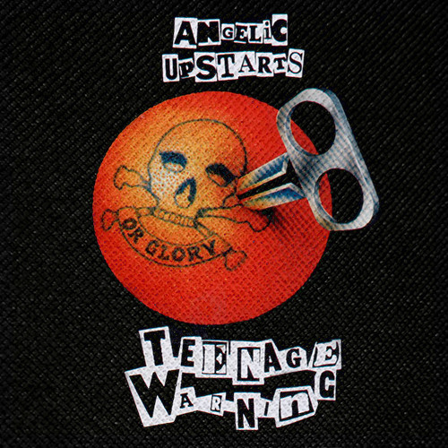 Angelic Upstarts - Teenage Warning 4x4