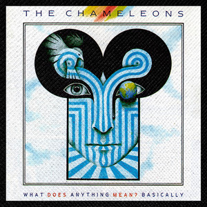 The Chameleons - What Does Anything Mean? 4x4" Color Patch