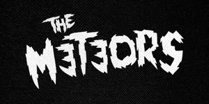 The Meteors Logo 5x3" Printed Patch