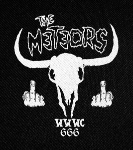The Meteors WWWC 4x4.5" Printed Patch